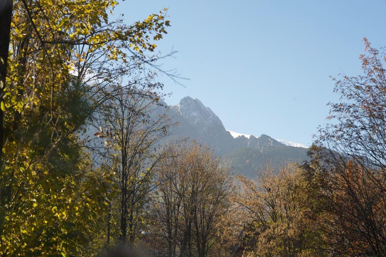 Apartament Pod Orlem Zakopane Eksteriør billede