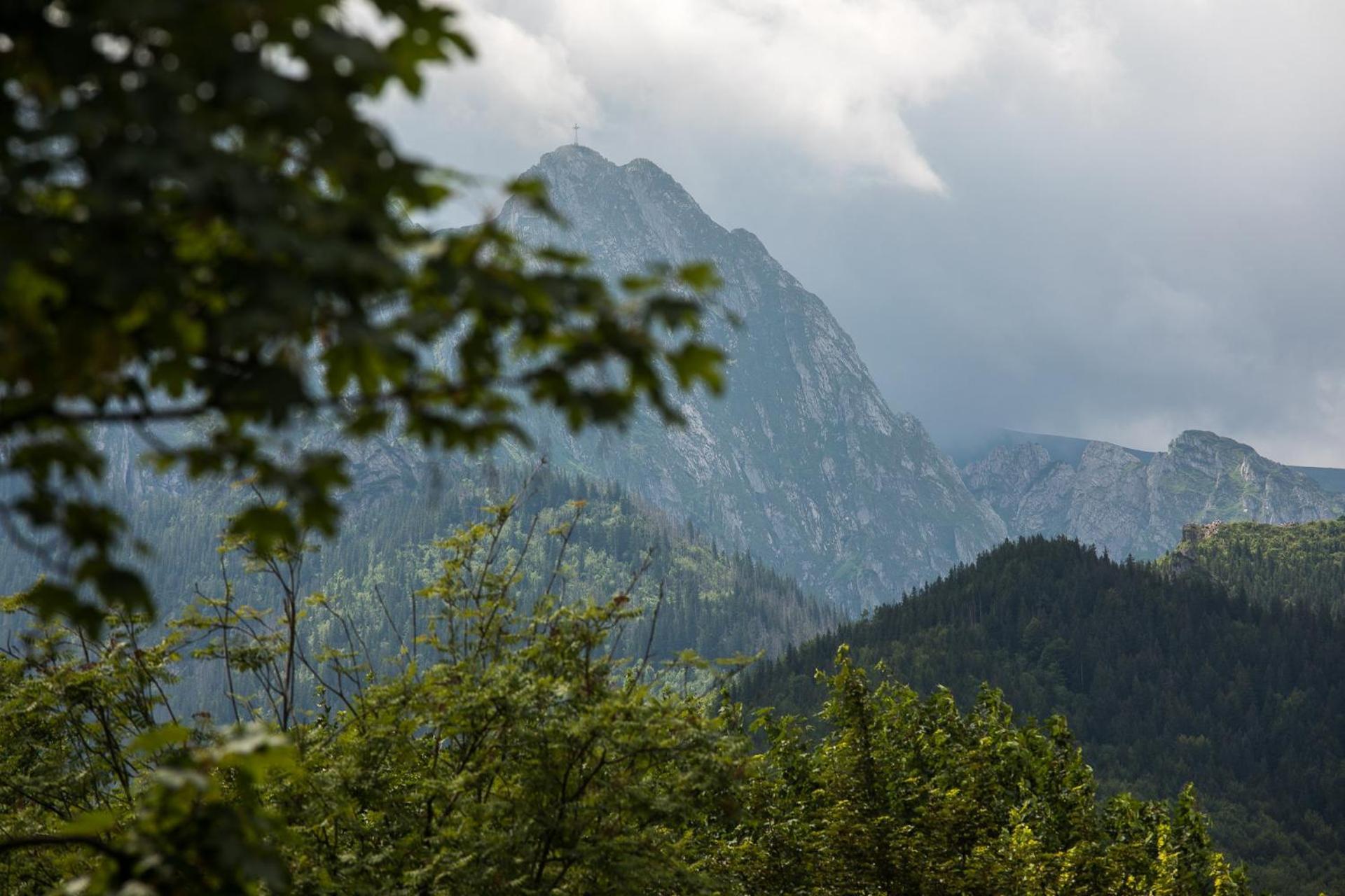 Apartament Pod Orlem Zakopane Eksteriør billede